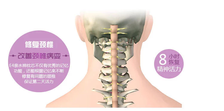 佳爽E4记忆枕改善颈椎保护健康枕头护颈亲水棉枕芯专用成人枕