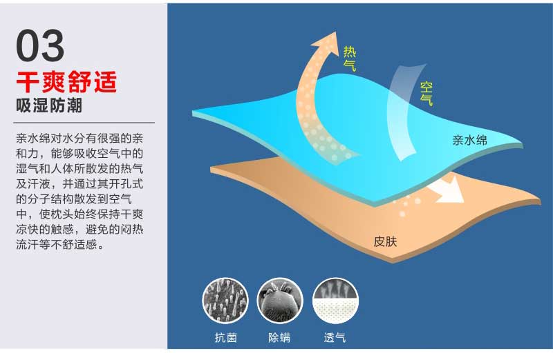 佳爽EH6 护颈椎保健枕头 慢回弹亲水棉记忆枕芯 失眠专用护肩大人枕